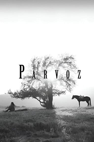 Parvoz