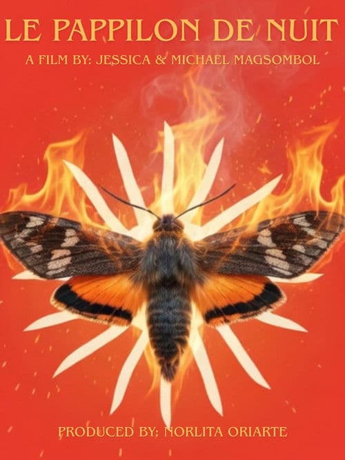 Le Papillon de Nuit
