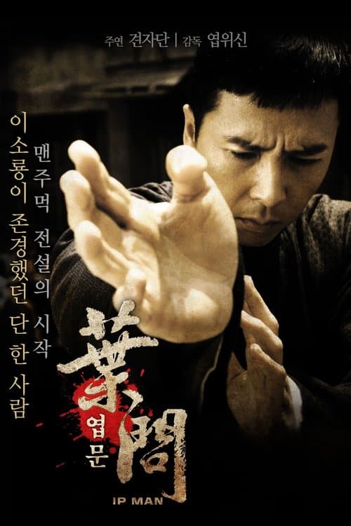 Ip Man: Marele maestru