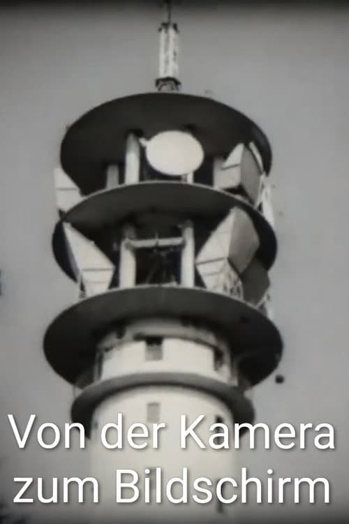 Von der Kamera zum Bildschirm
