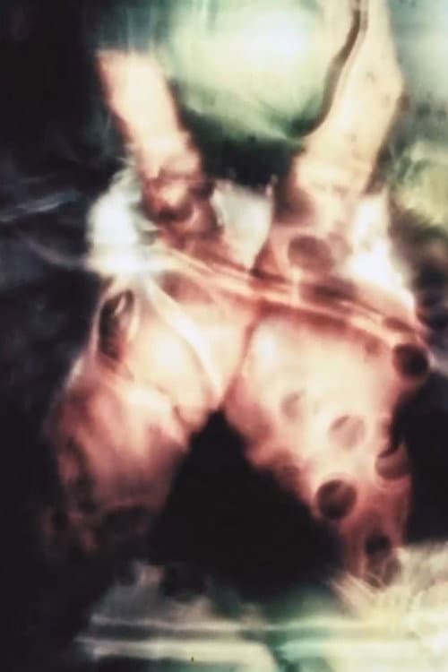 どこかにある場所