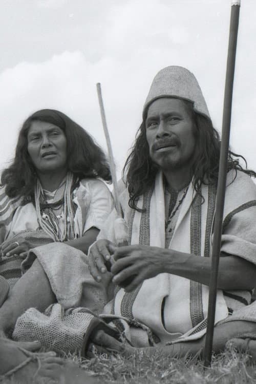 El Valor de la Palabra