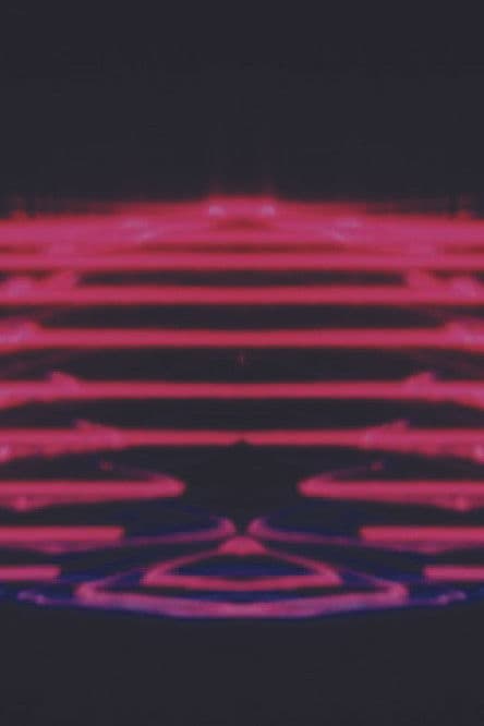 Fresh Honey from the Lion’s Mouth