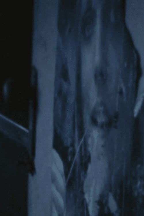 独身者のアパート