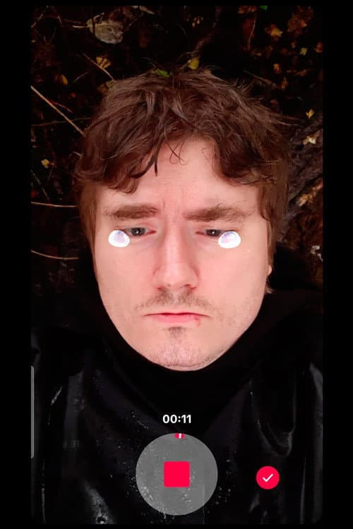 Автопортрет в возрасте 30 лет