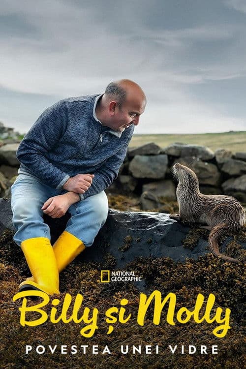 Billy & Molly: An Otter Love Story