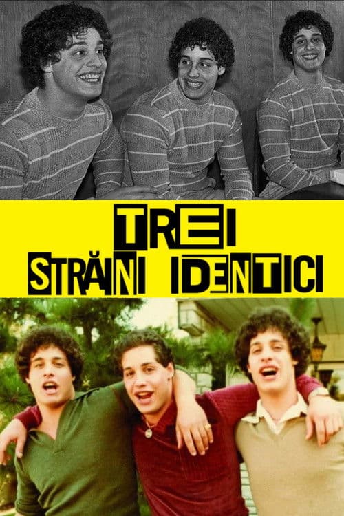 Trei străini identici