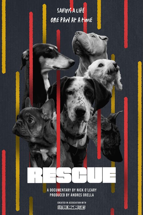RESCUE