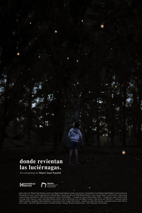 Donde revientan las luciérnagas