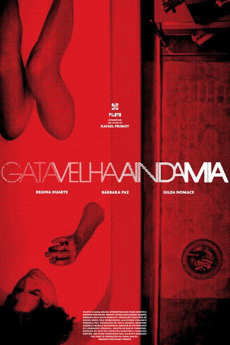 Gata Velha Ainda Mia