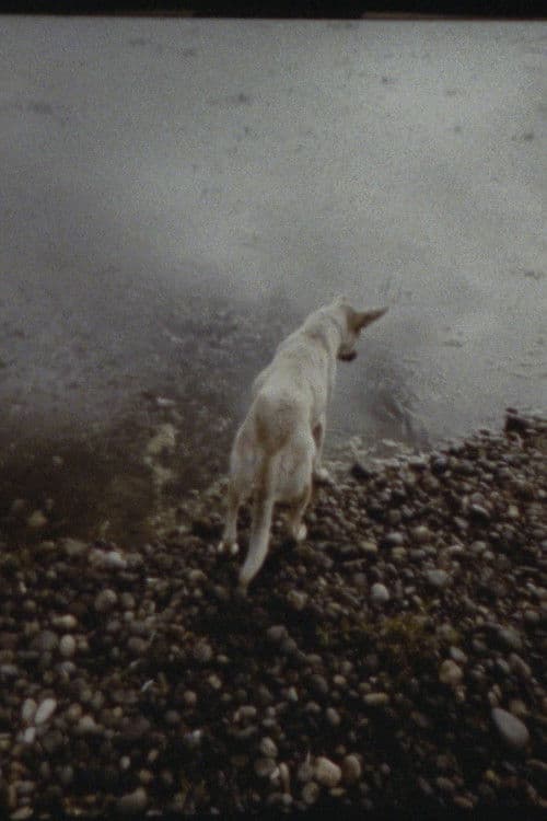 La partida de las imágenes