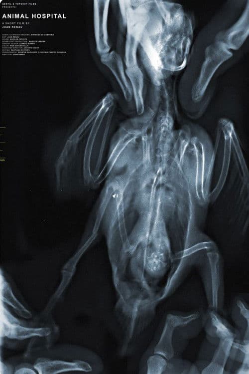 Especies de compañia