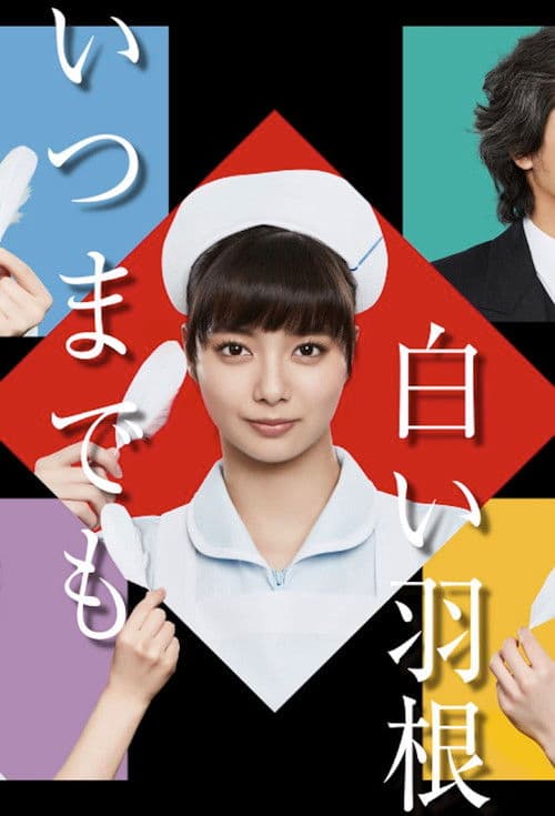 いつまでも白い羽根