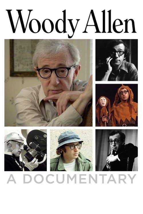 Woody Allen: Un documentar