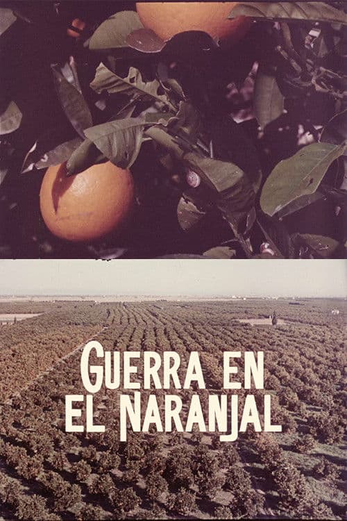 Guerra en el naranjal