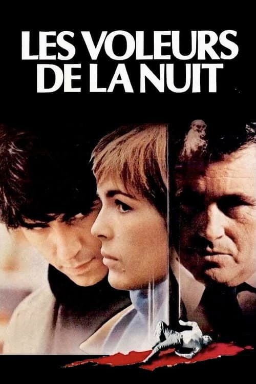Les Voleurs de la nuit