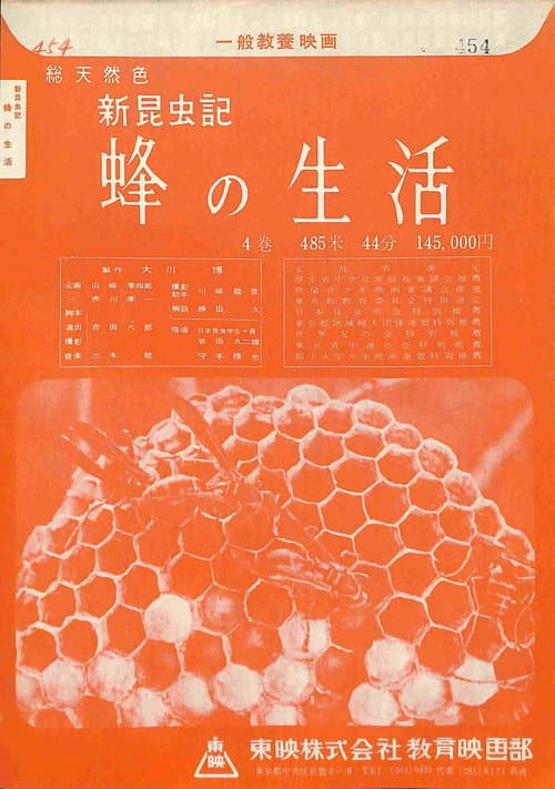 新昆虫記―蜂の生活