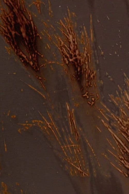 Terre rouge terre noire