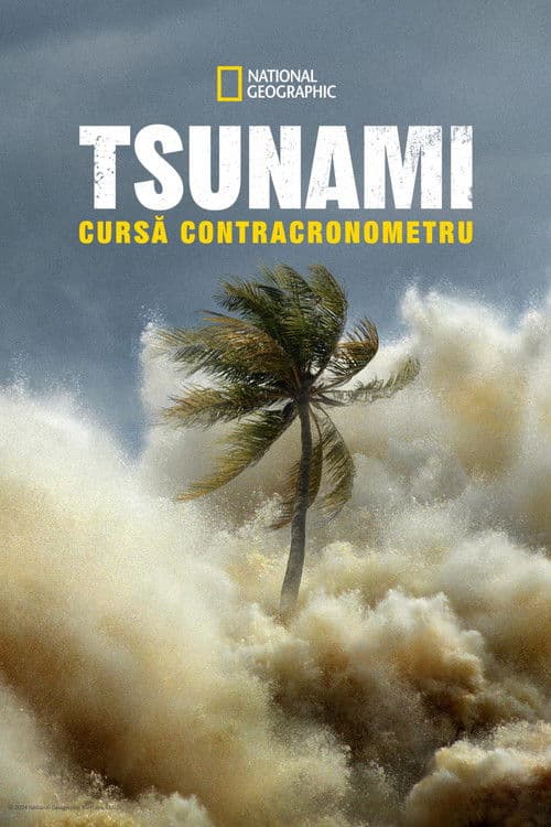Tsunami: Cursă contracronometru