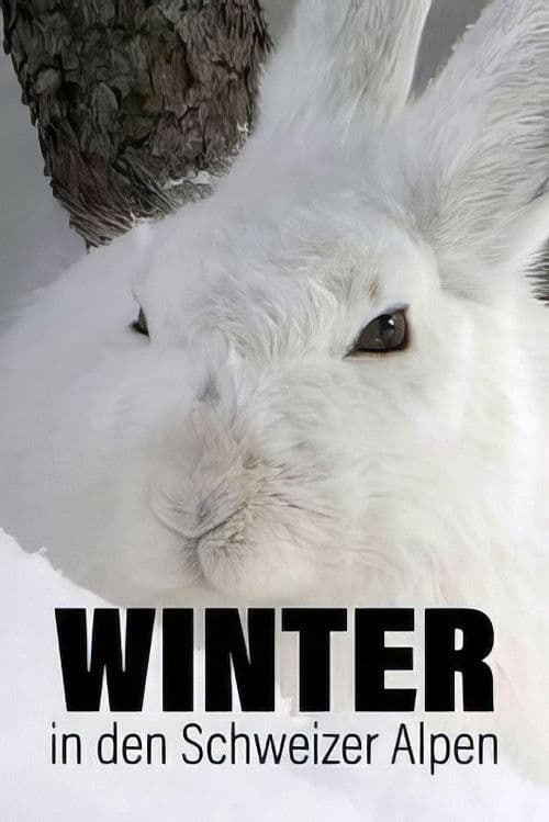 Winter in den Schweizer Alpen