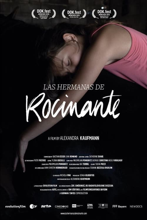 Las hermanas de Rocinante