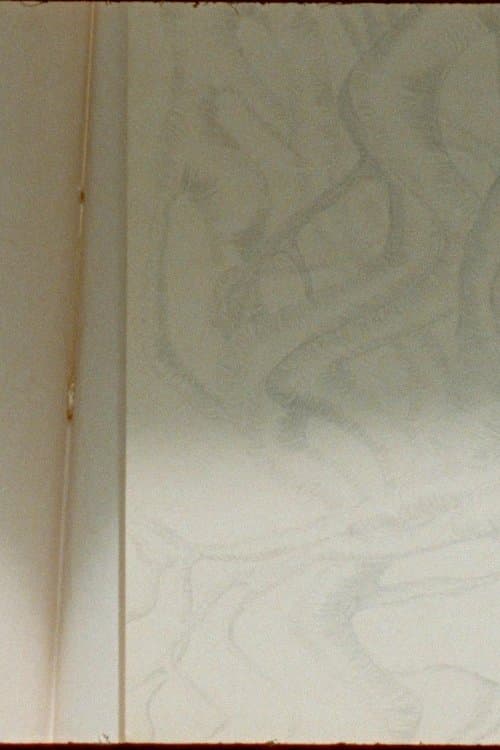 N'importe Quoi (Extérieur - Jour)