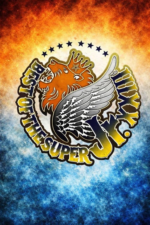 NJPW Best of the Super Junior 23 - Day 7
