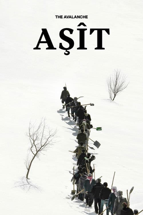 Aşît