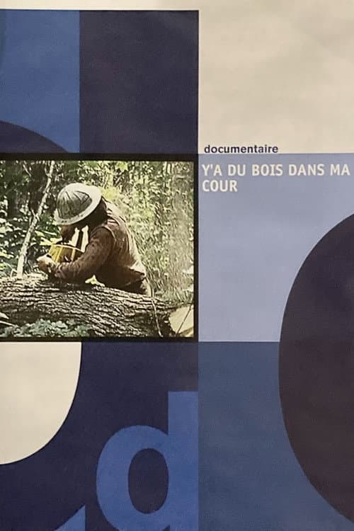 Y'a du bois dans ma cour