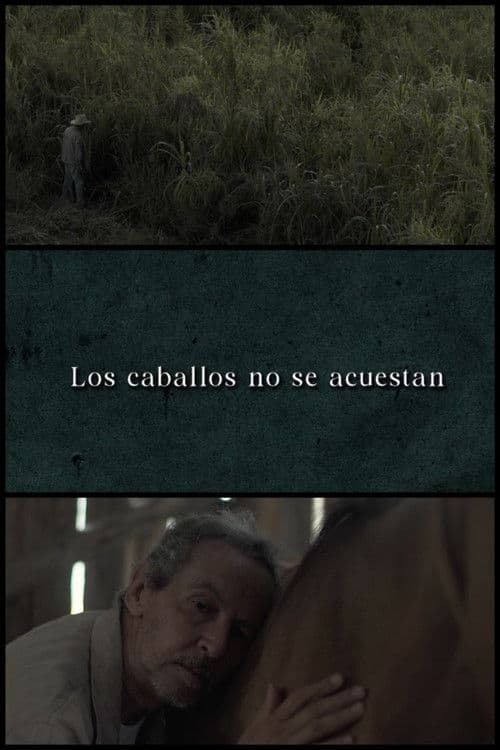 Los caballos no se acuestan