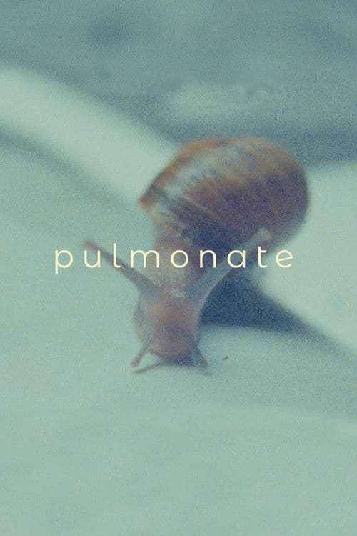 Pulmonate
