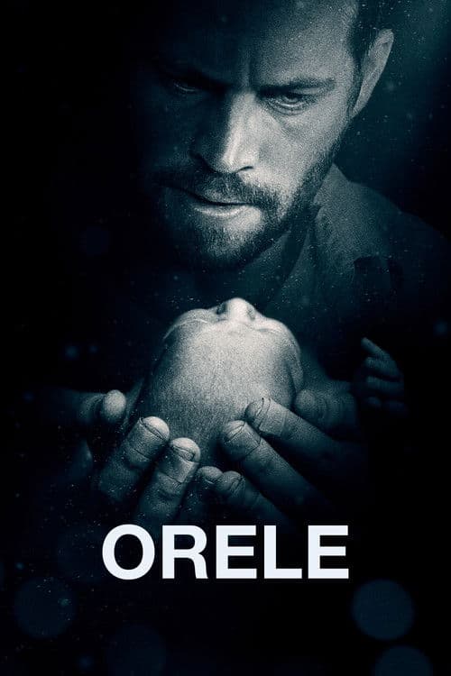 Numărătoare inversă