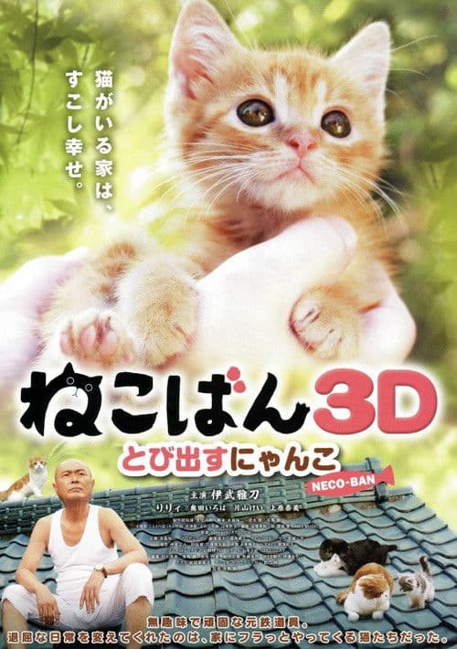 ねこばん３Ｄ　とび出すにゃんこ