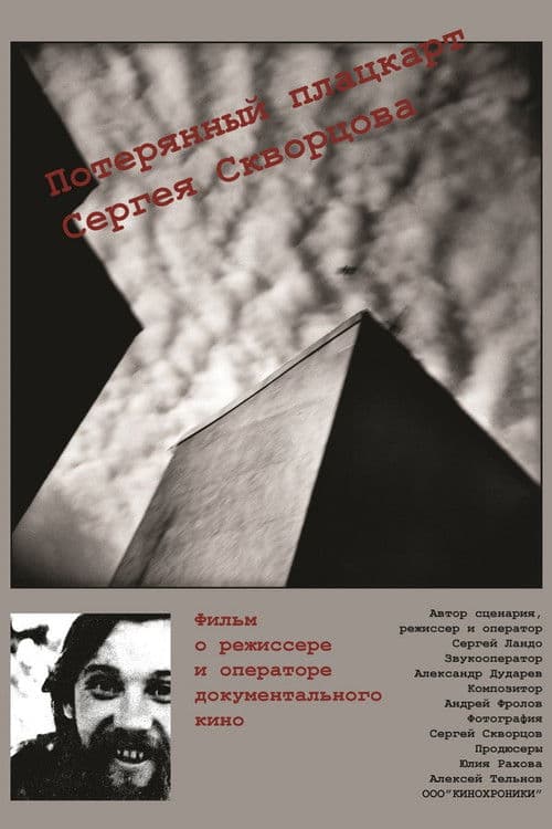 Потерянный плацкарт Сергея Скворцова