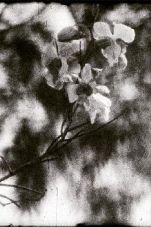 Mil días, mil noches