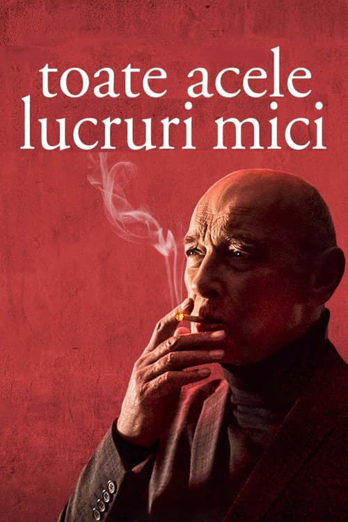Toate acele lucruri mici
