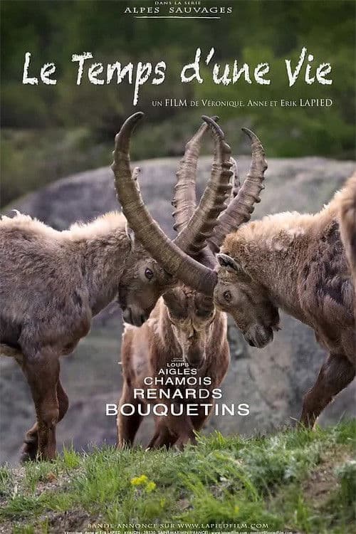 Le Temps d'une Vie