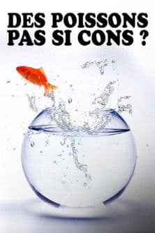 Des poissons, pas si cons ?