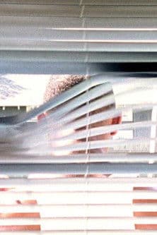 A Man Screaming Is Not a Dancing Bear