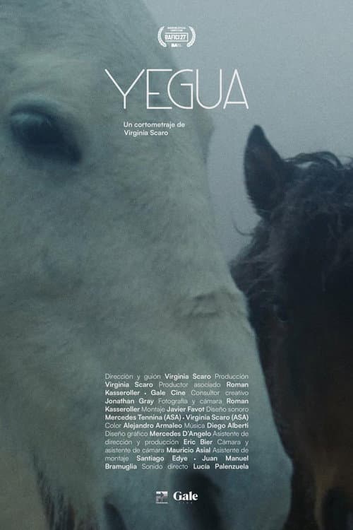Yegua