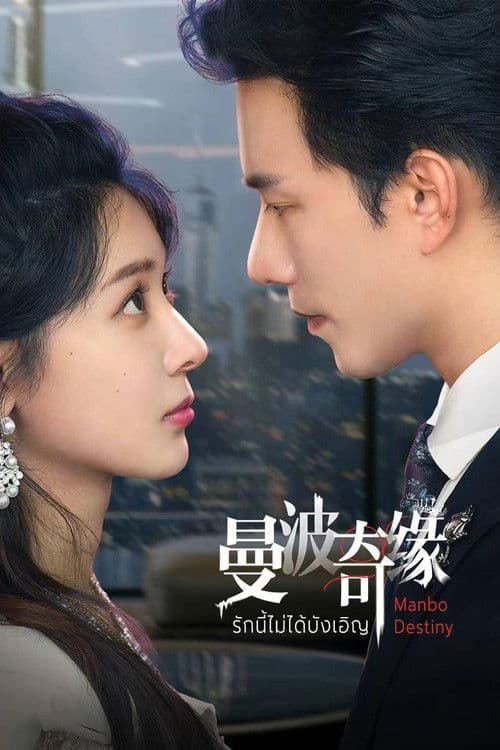 曼波奇缘