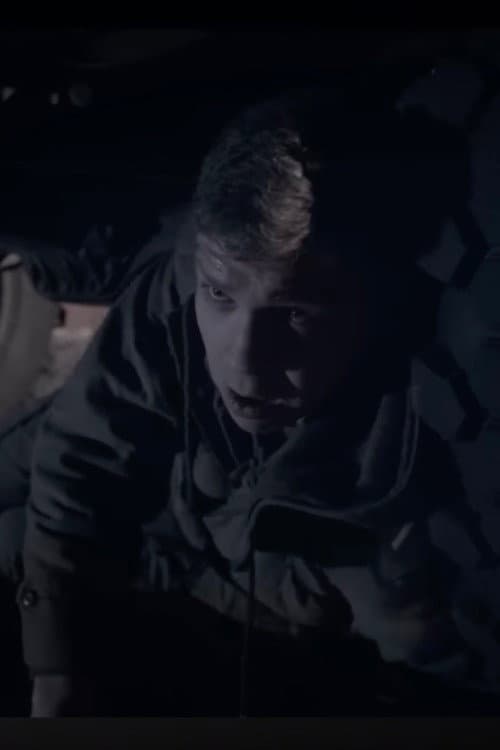 Der Soldatenmord von Lebach