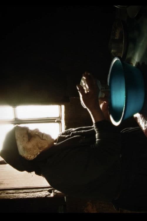 Territórios Ocupados