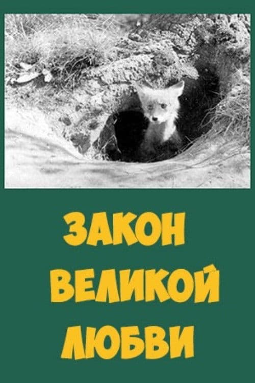 Закон великой любви