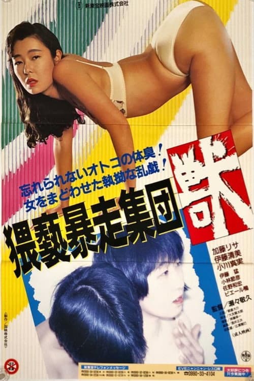 猥褻暴走集団　獣