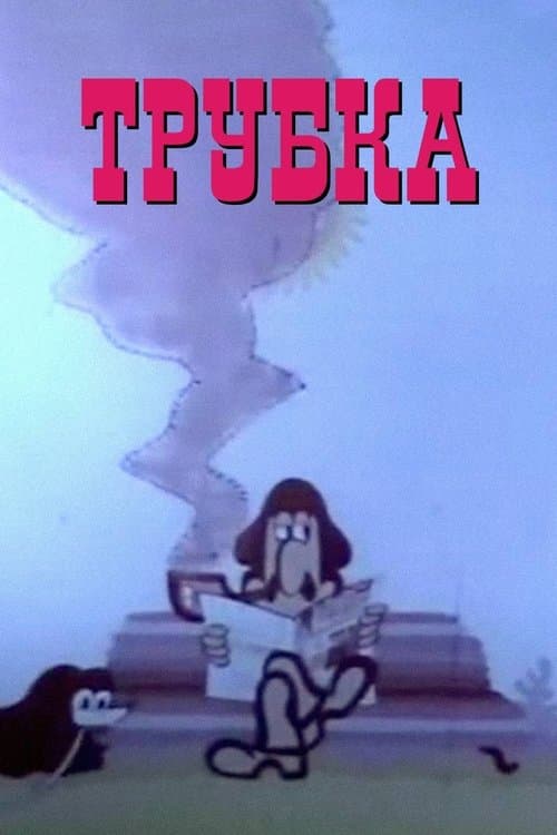 საკვირი