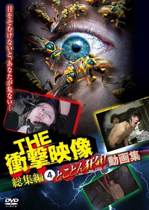 THE 衝撃映像 総集編（4）とことん狂気！動画集