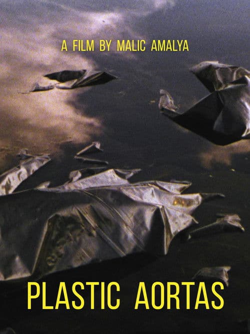Plastic Aortas