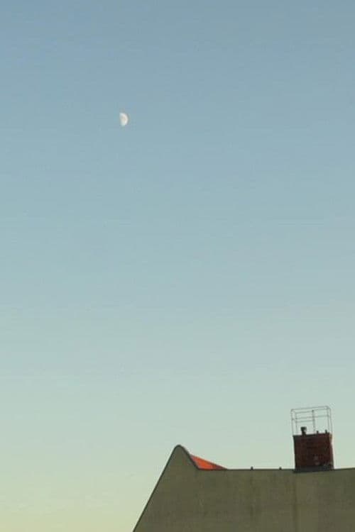 Notes from the Neighbourhood