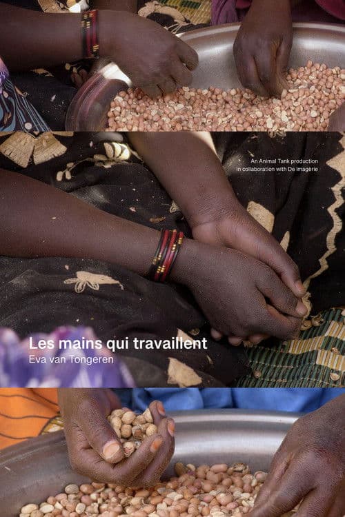 Les mains qui travaillent